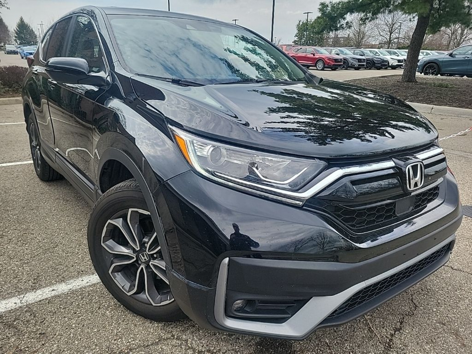 View vehicle photo 6