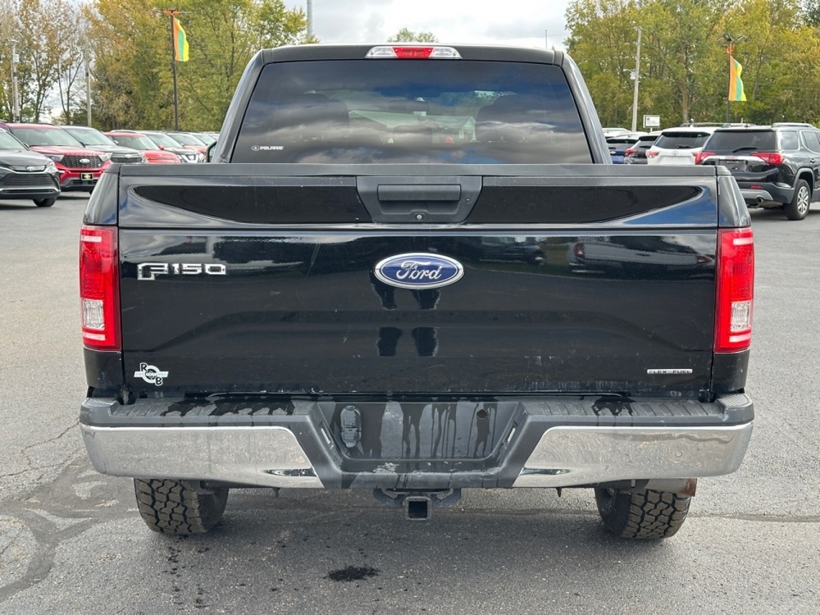 2016 Ford F-150 image