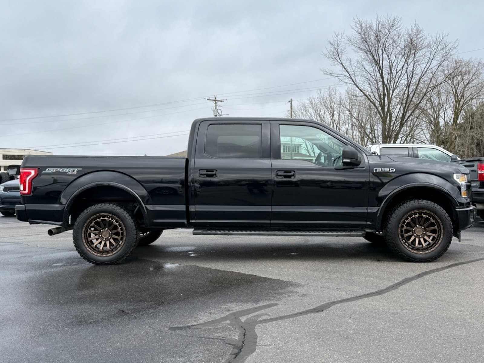 2017 Ford F-150 image