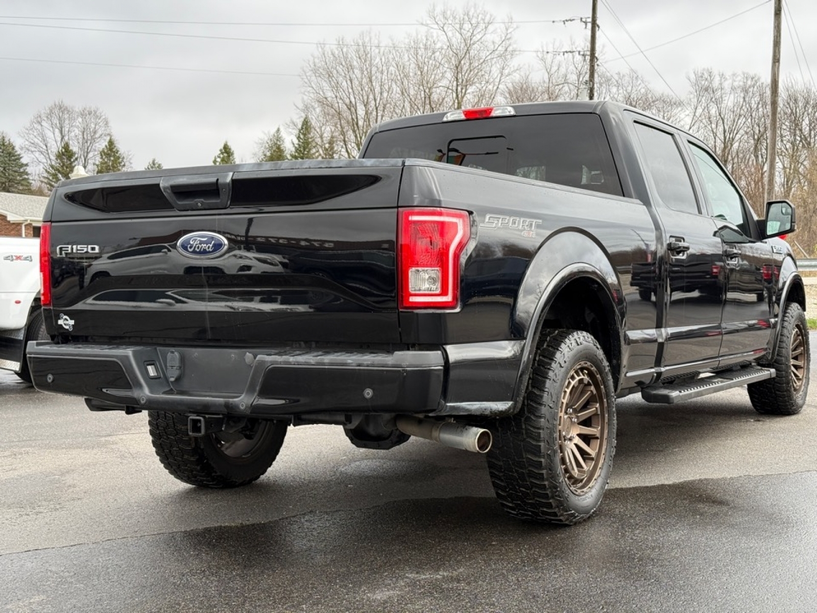 2017 Ford F-150 image