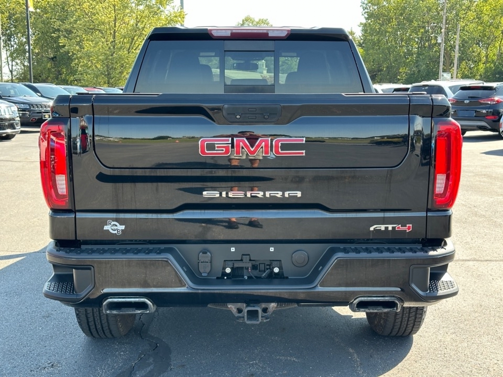 2019 GMC Sierra 1500 image