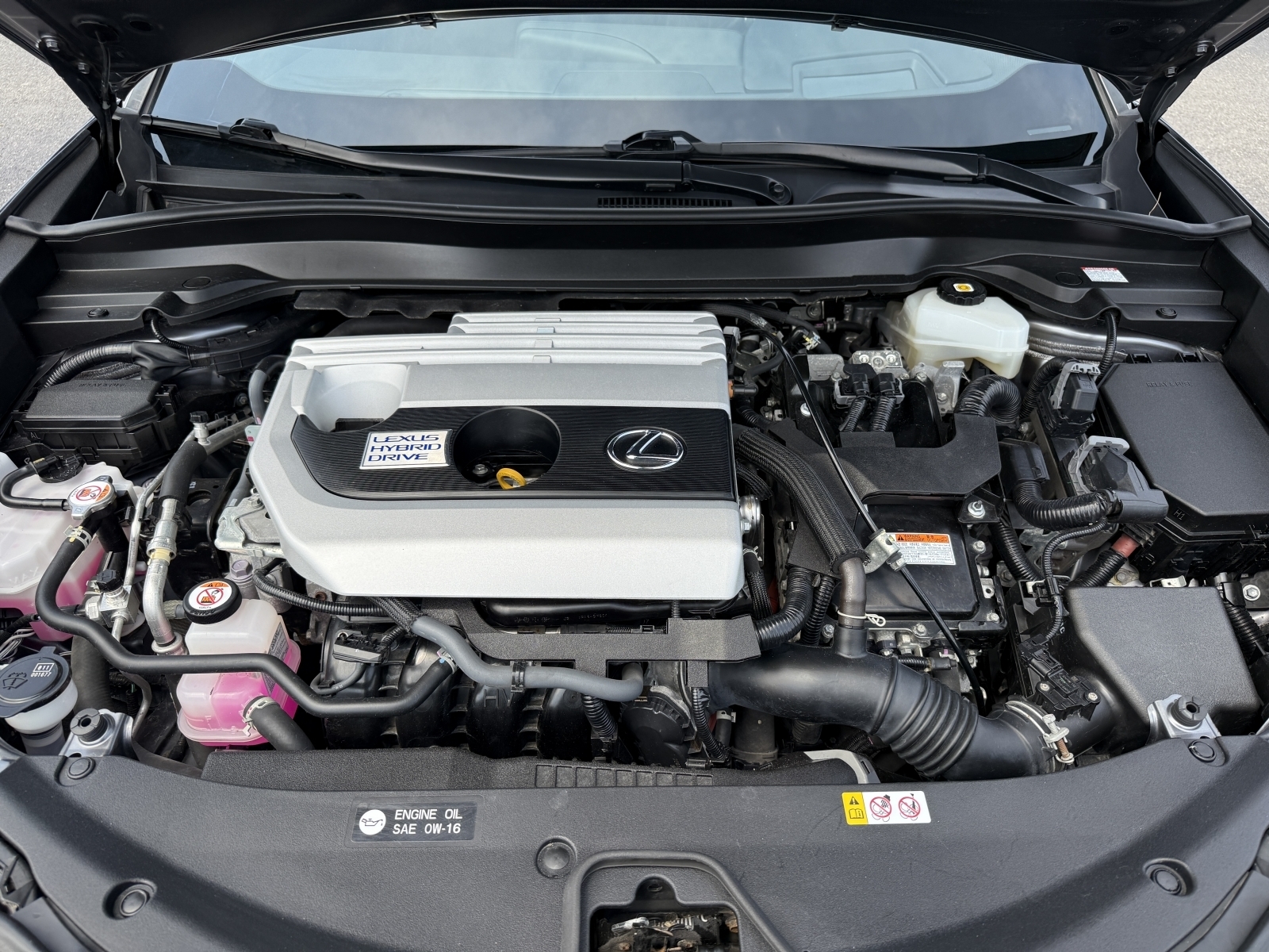 2020 Lexus UX 250h UX 250h CVT, 38437, Photo