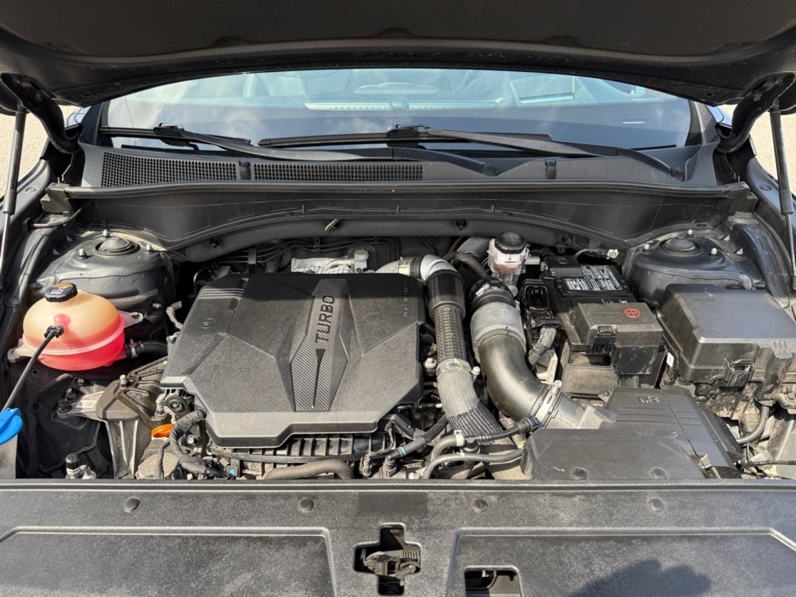 2021 Hyundai Santa Fe Ultimate Calligraphy, 38396, Photo