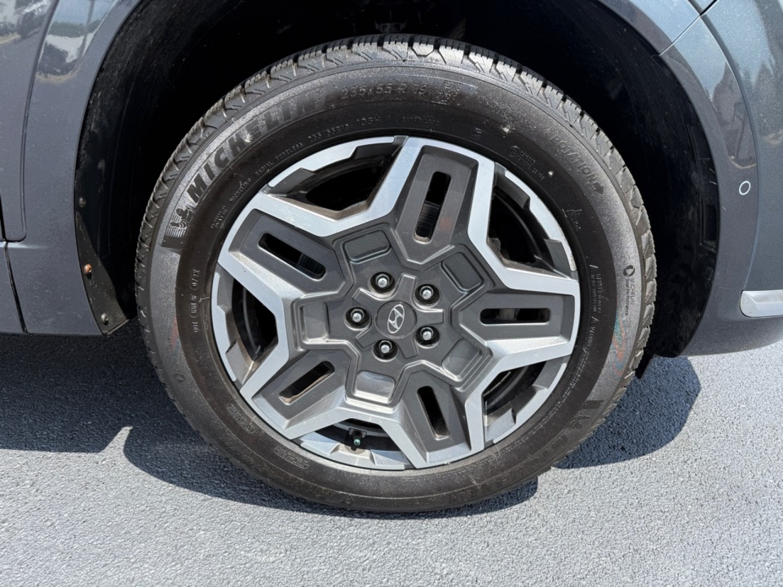 2021 Hyundai Santa Fe Ultimate Calligraphy, 38576, Photo