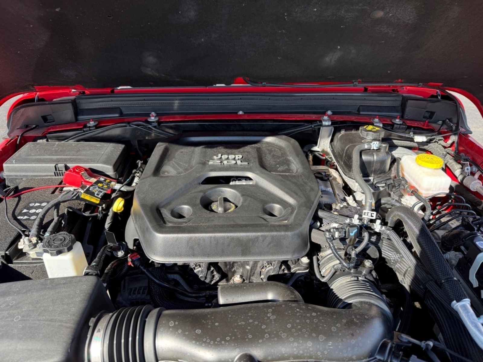 2021 Jeep Wrangler Unlimited Sahara, 38481B, Photo