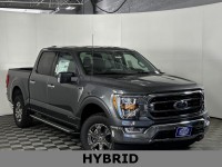 New, 2023 Ford F-150 XLT, Gray, G15306-1