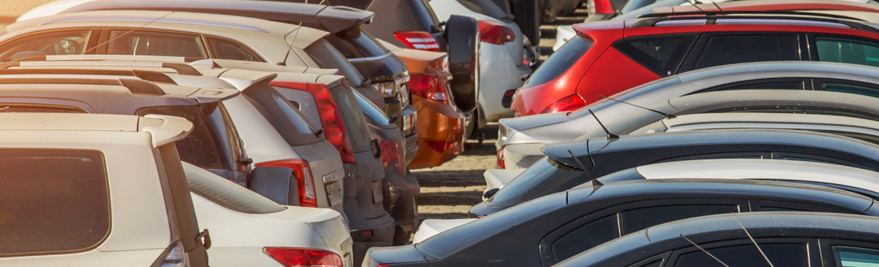 A wide selection of used cars parked at Terre Haute Auto, a trusted dealership.