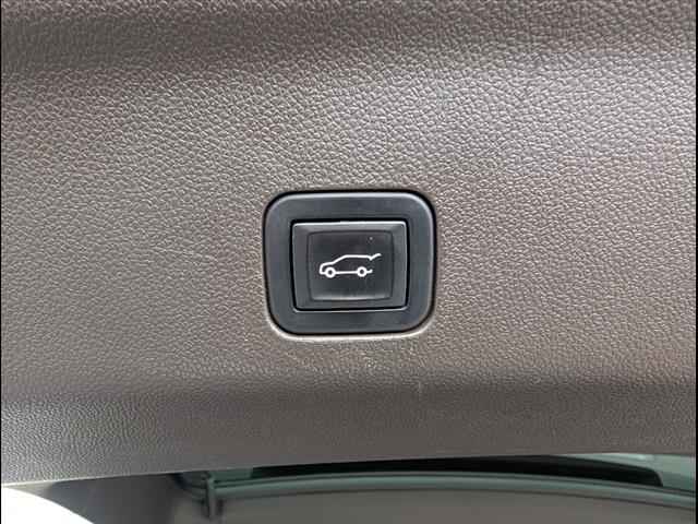 VinFast Bowling Green Vehicle for sale