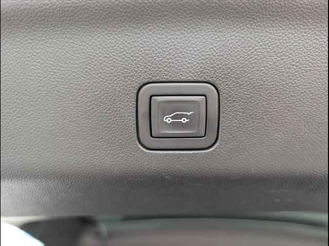 VinFast Bowling Green Vehicle for sale