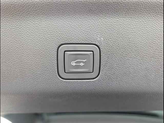 VinFast Bowling Green Vehicle for sale