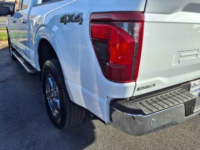 VinFast Bowling Green Vehicle for sale