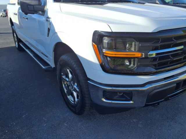 VinFast Bowling Green Vehicle for sale