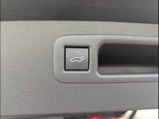 VinFast Bowling Green Vehicle for sale