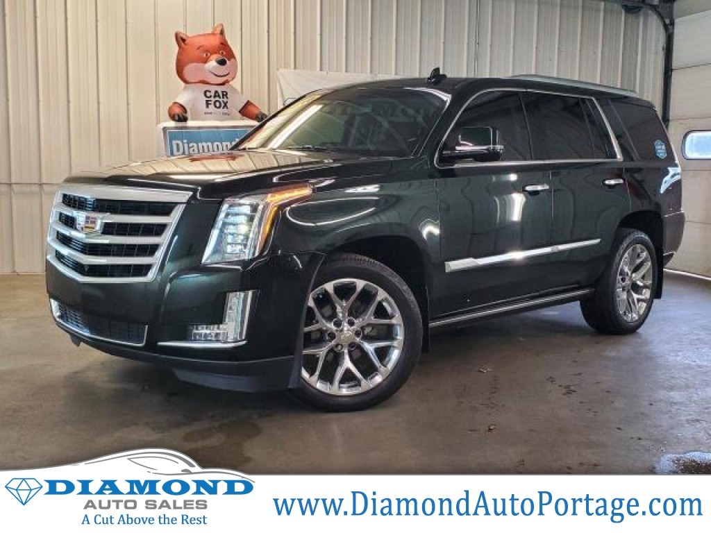 2017 Cadillac Escalade Luxury, 3671, Photo 1