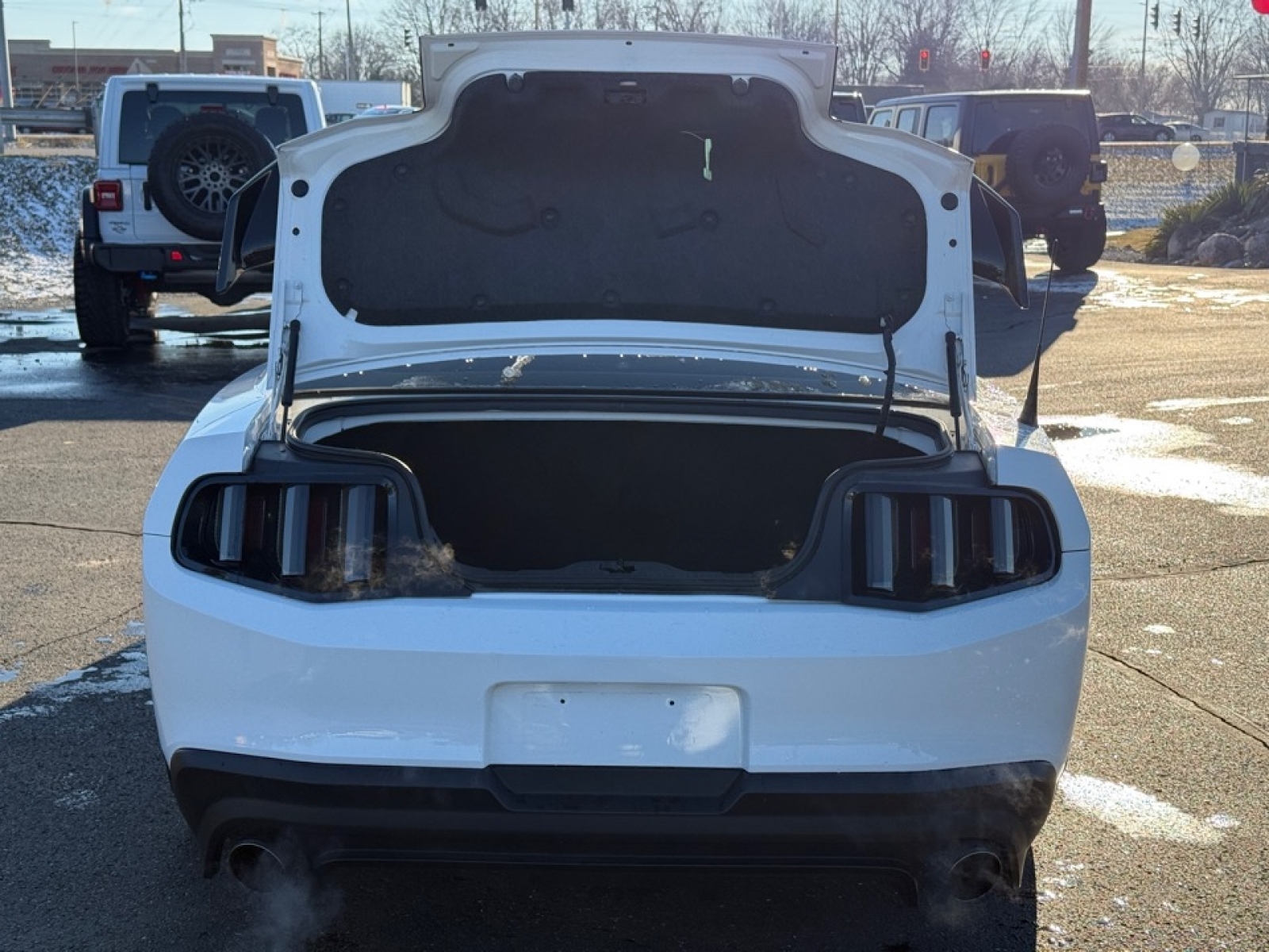 2012 Ford Mustang Boss 302, 38491C, Photo