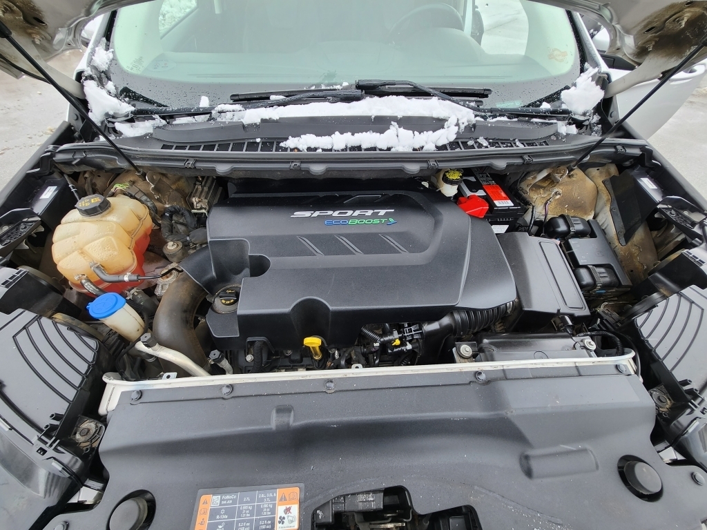 2015 Ford Edge Sport, 35047, Photo