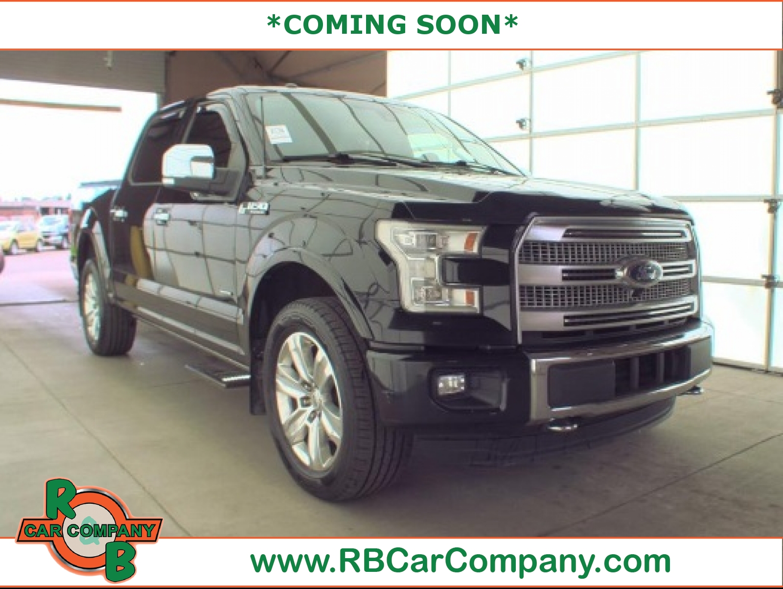 2016 Ford F-150 Platinum, 39062, Photo