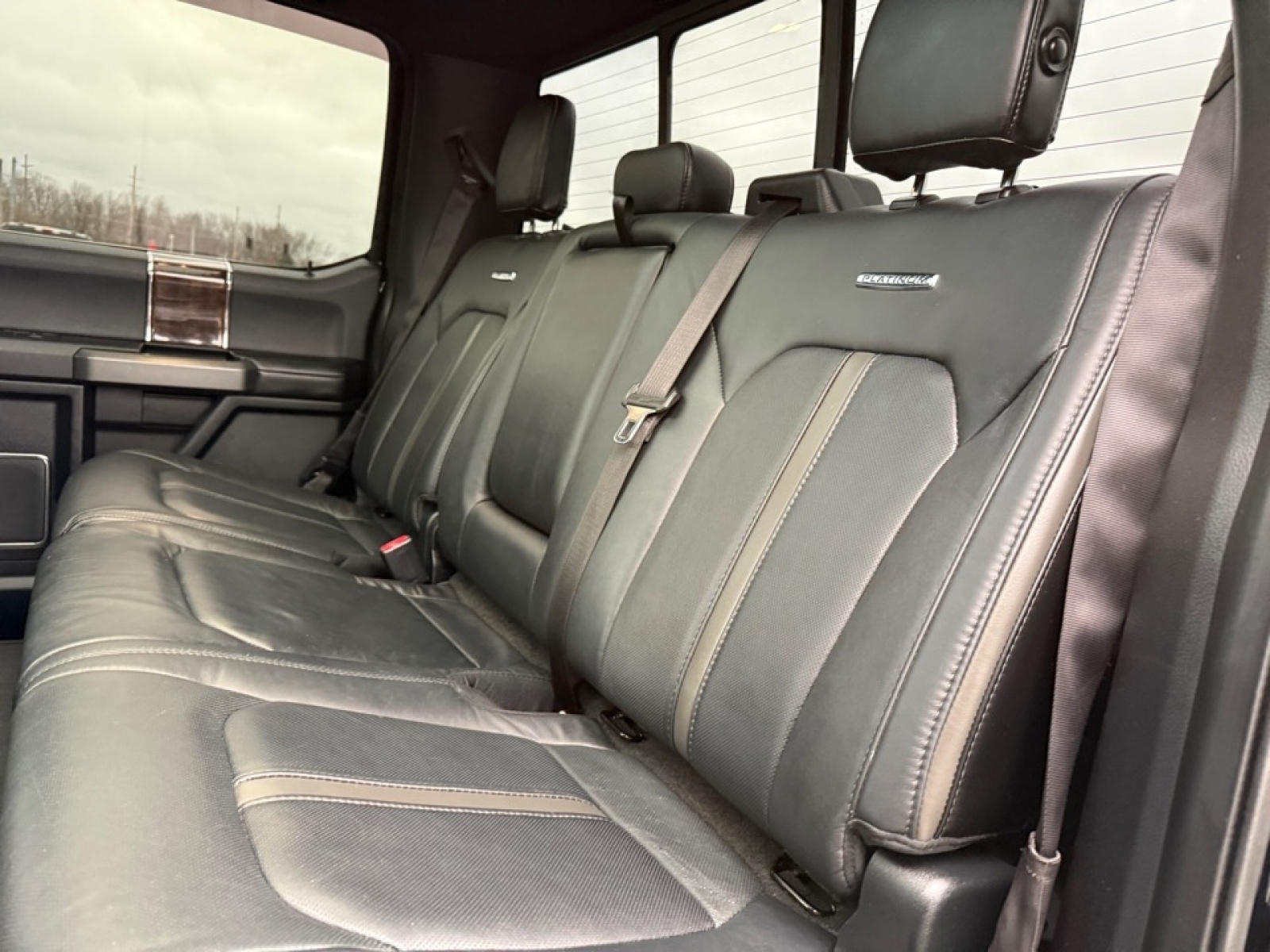 2016 Ford F-150 Platinum, 39062, Photo