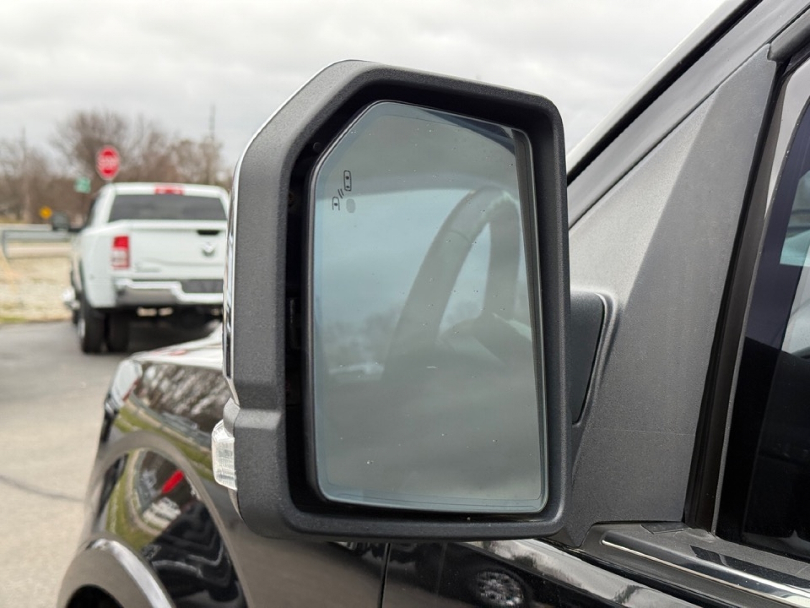 2016 Ford F-150 Platinum, 39062, Photo