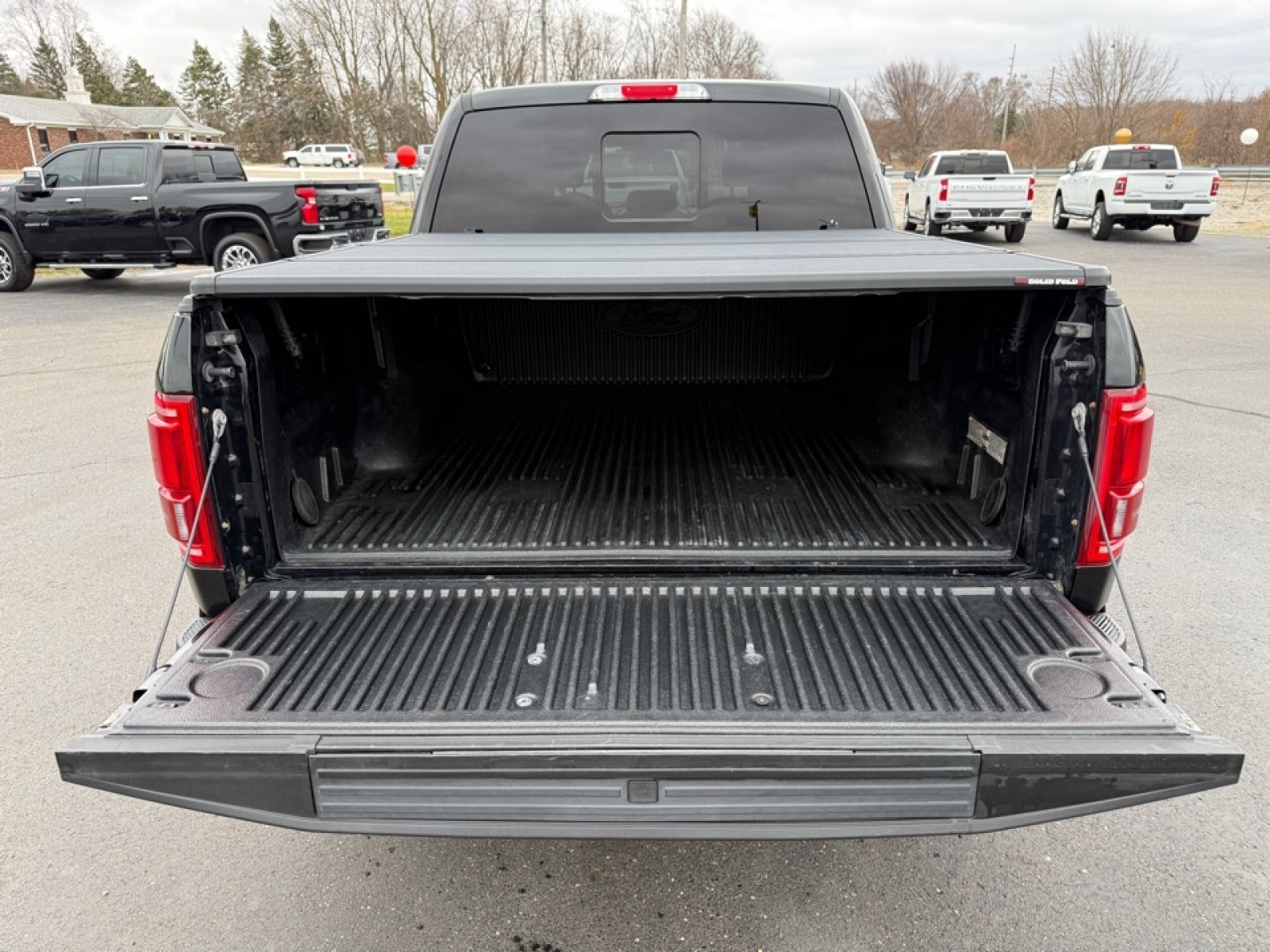 2016 Ford F-150 Platinum, 39062, Photo