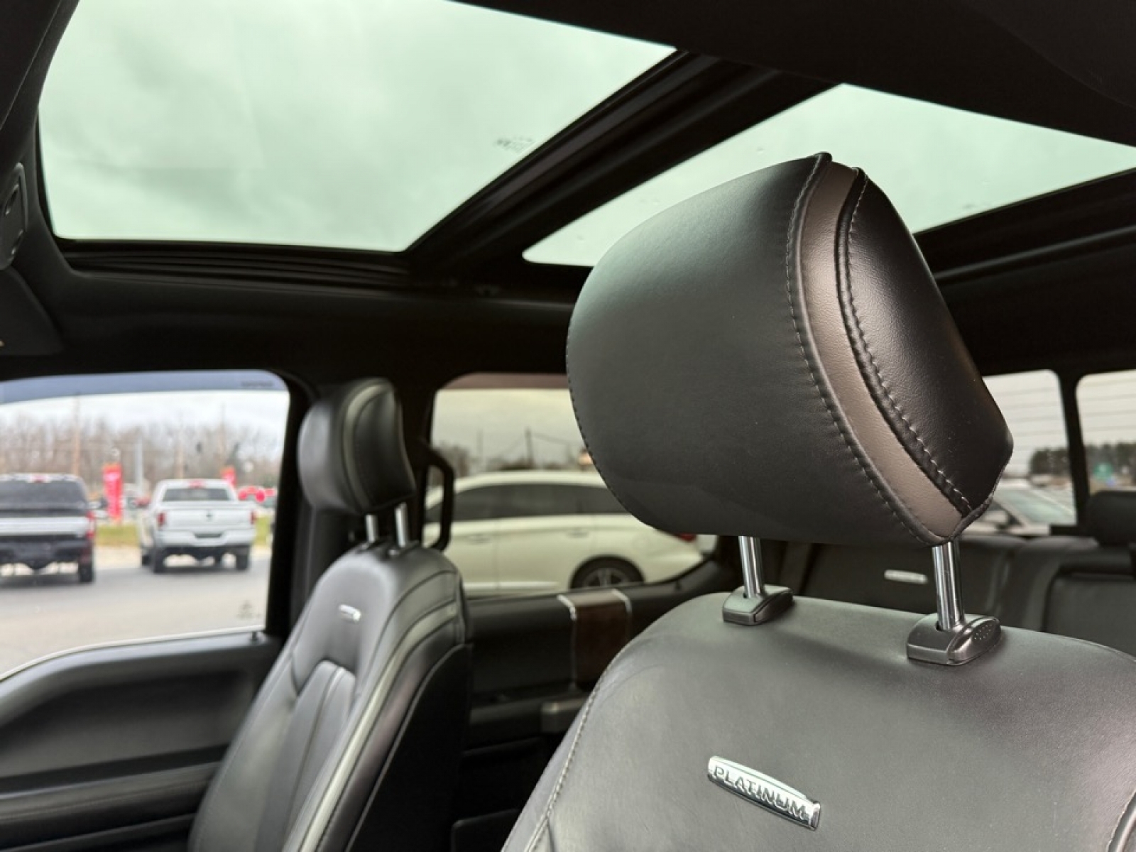 2016 Ford F-150 Platinum, 39062, Photo