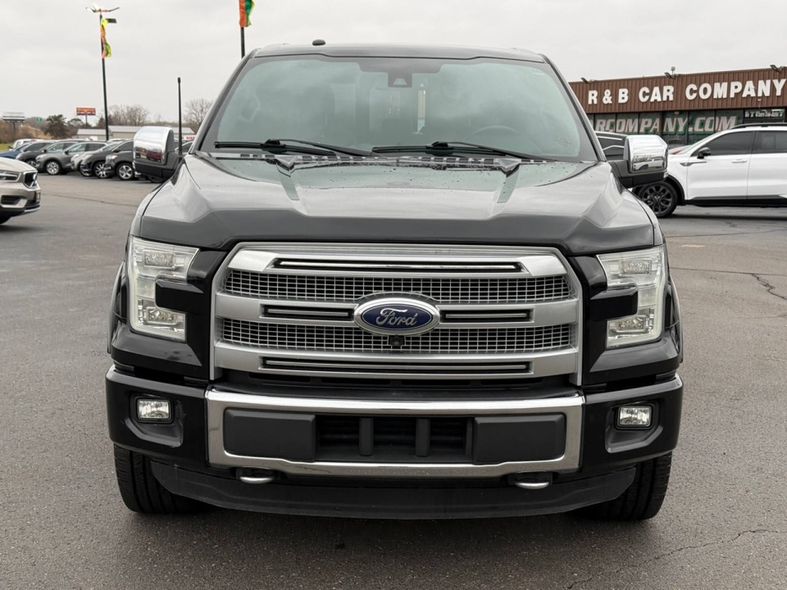 2016 Ford F-150 Platinum, 39062, Photo