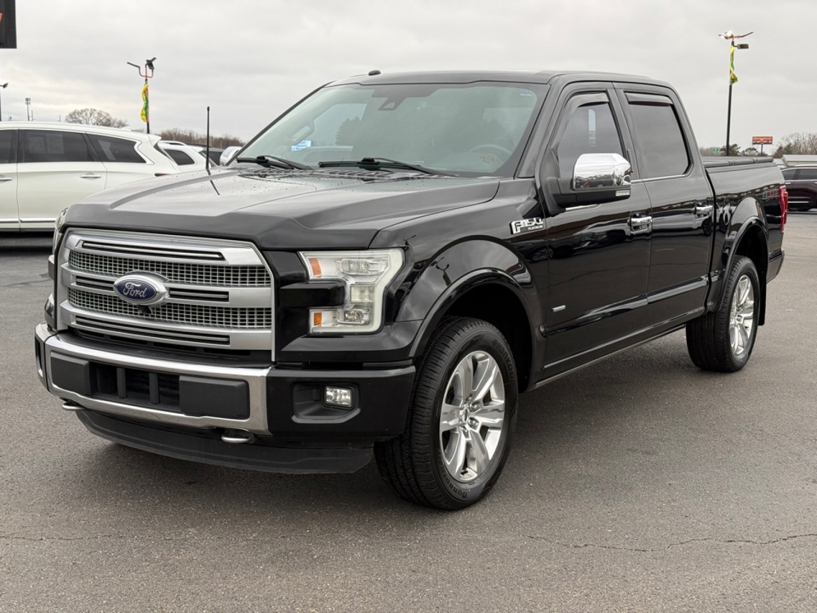 2016 Ford F-150 Platinum, 39062, Photo