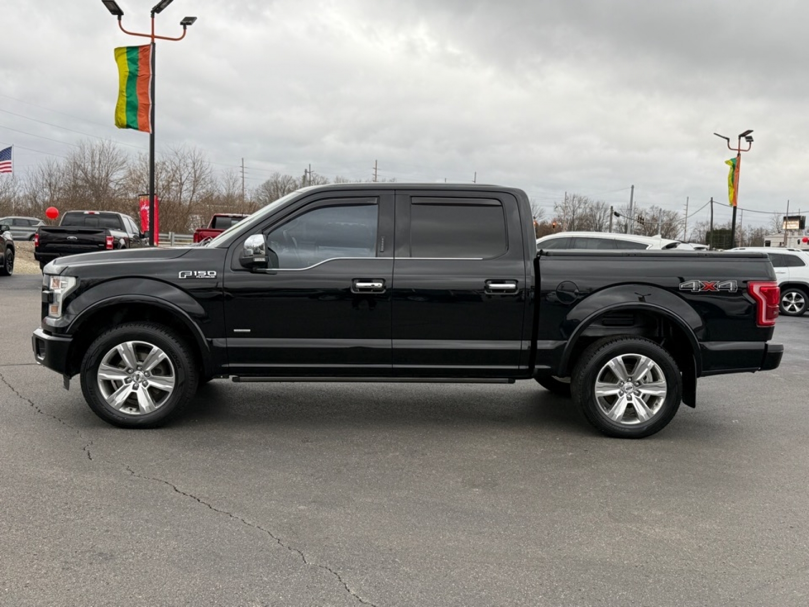 2016 Ford F-150 Platinum, 39062, Photo