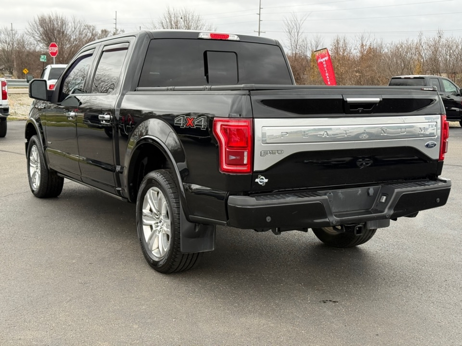2016 Ford F-150 Platinum, 39062, Photo