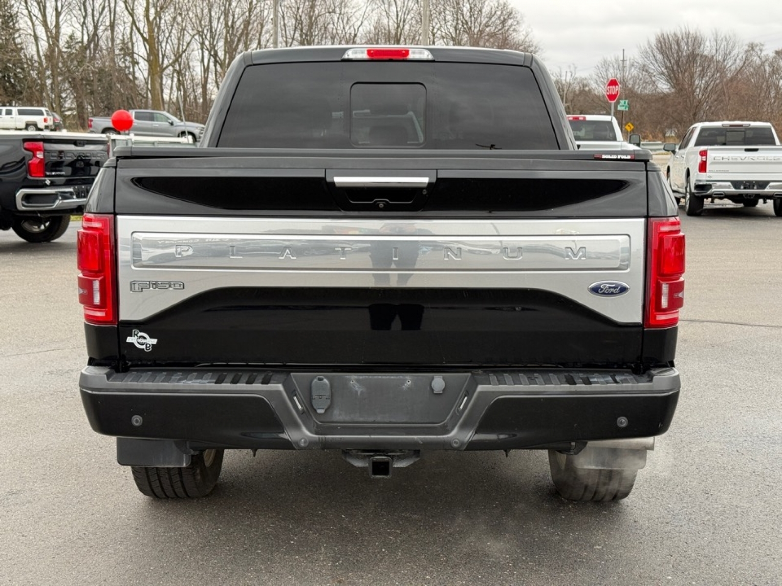 2016 Ford F-150 Platinum, 39062, Photo