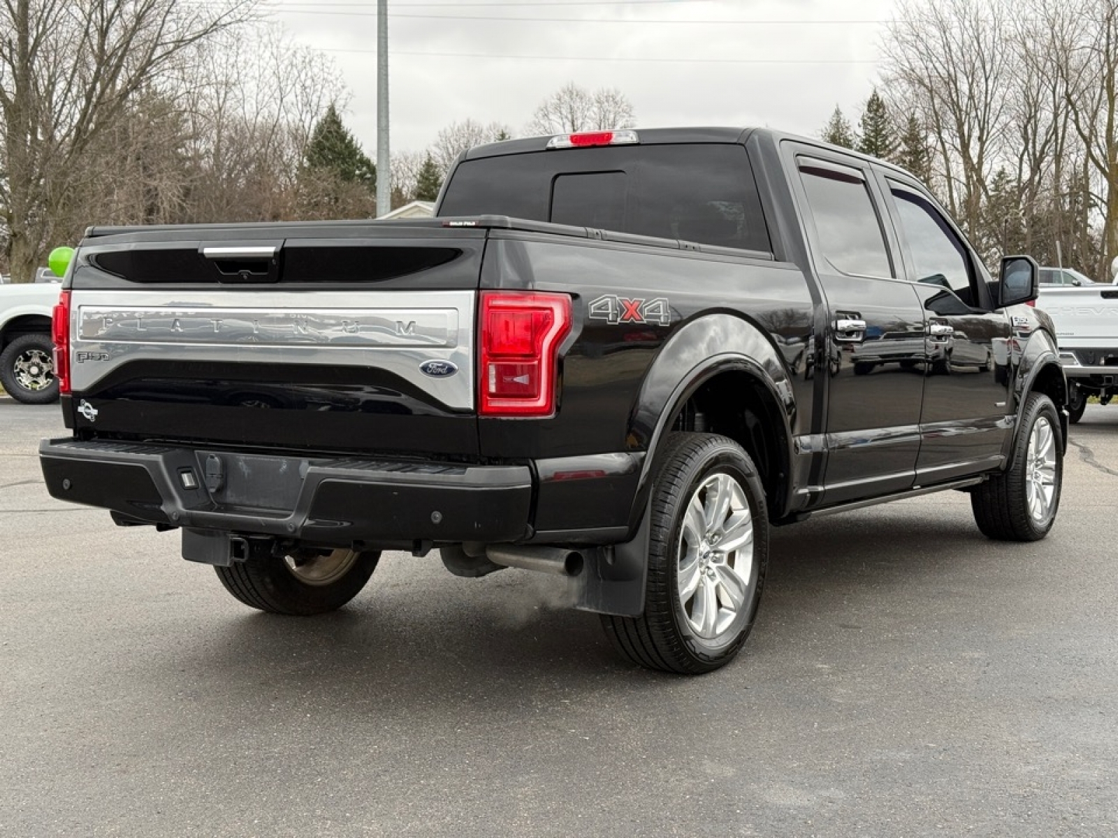 2016 Ford F-150 Platinum, 39062, Photo