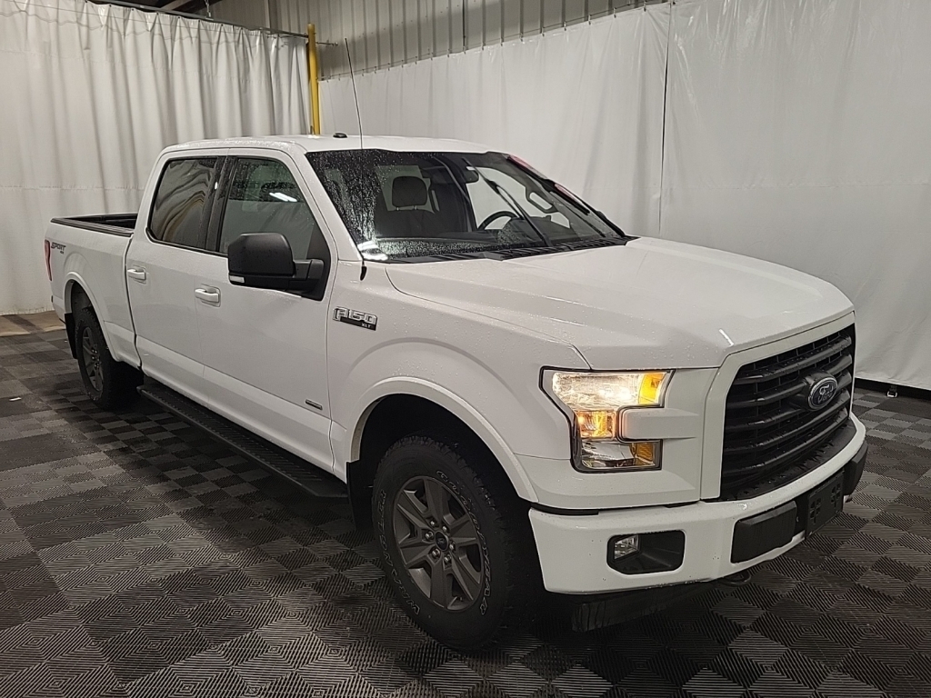 2017 Ford F-150 XLT, 36459, Photo