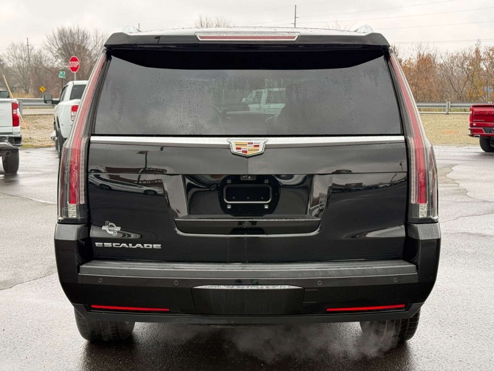 2018 Cadillac Escalade Platinum, 39137, Photo