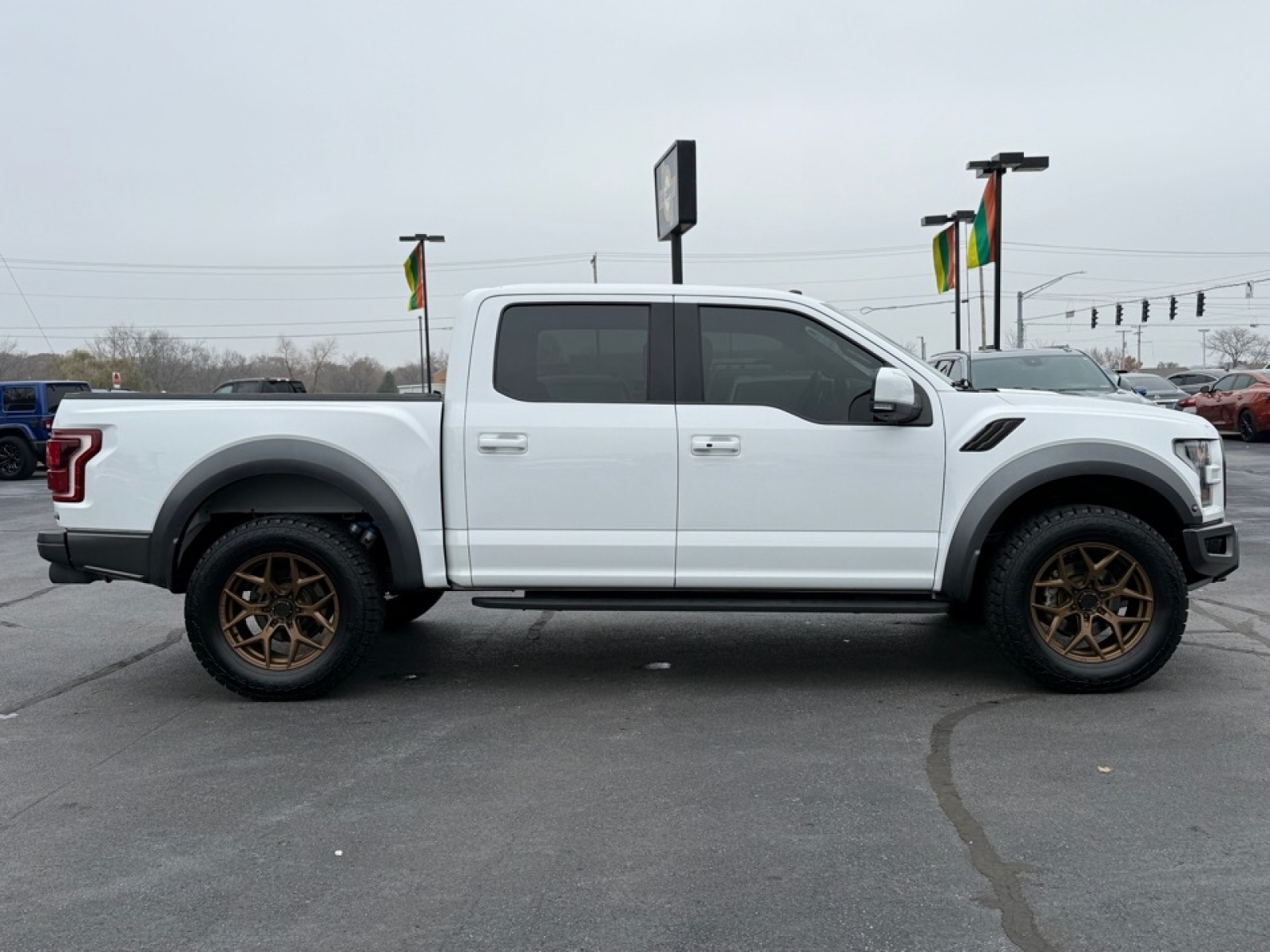 2018 Ford F-150 Raptor, 38446X, Photo