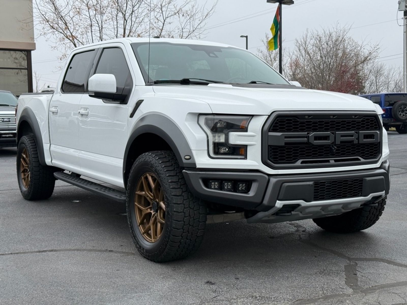 2018 Ford F-150 Raptor, 38446X, Photo