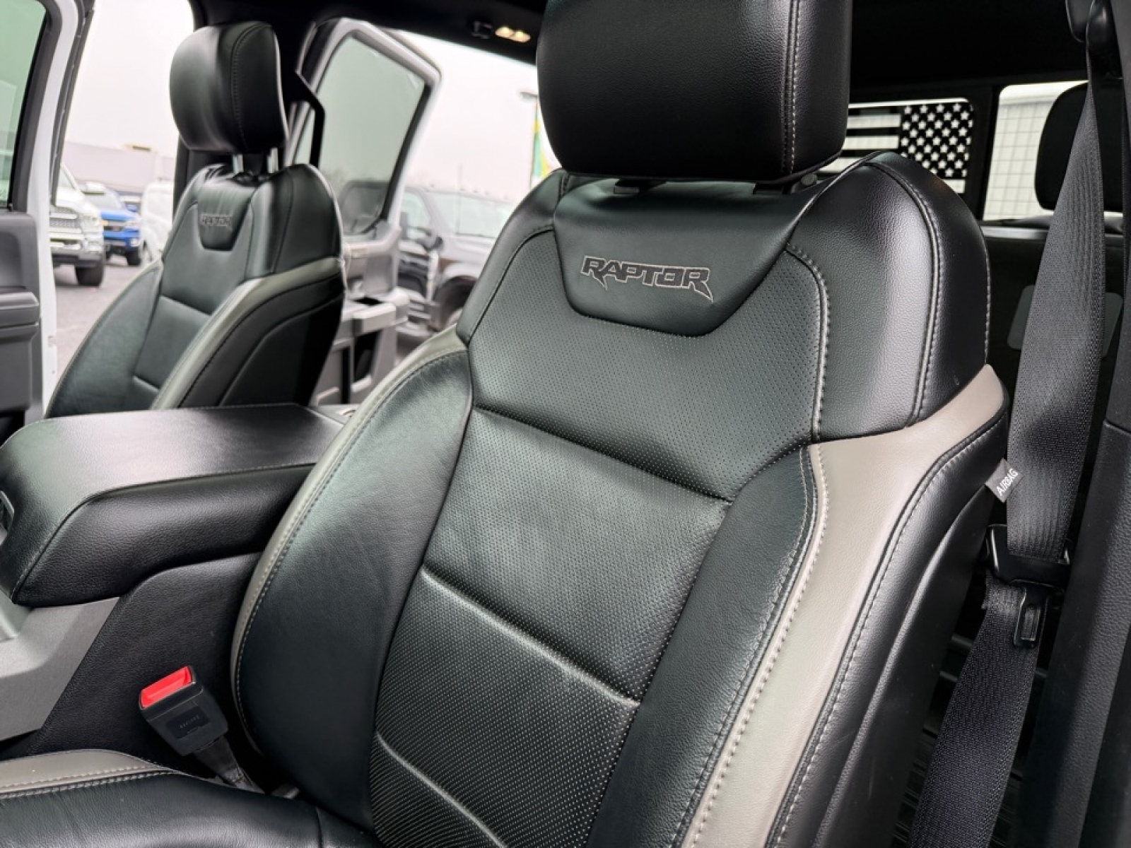 2018 Ford F-150 Raptor, 38446X, Photo