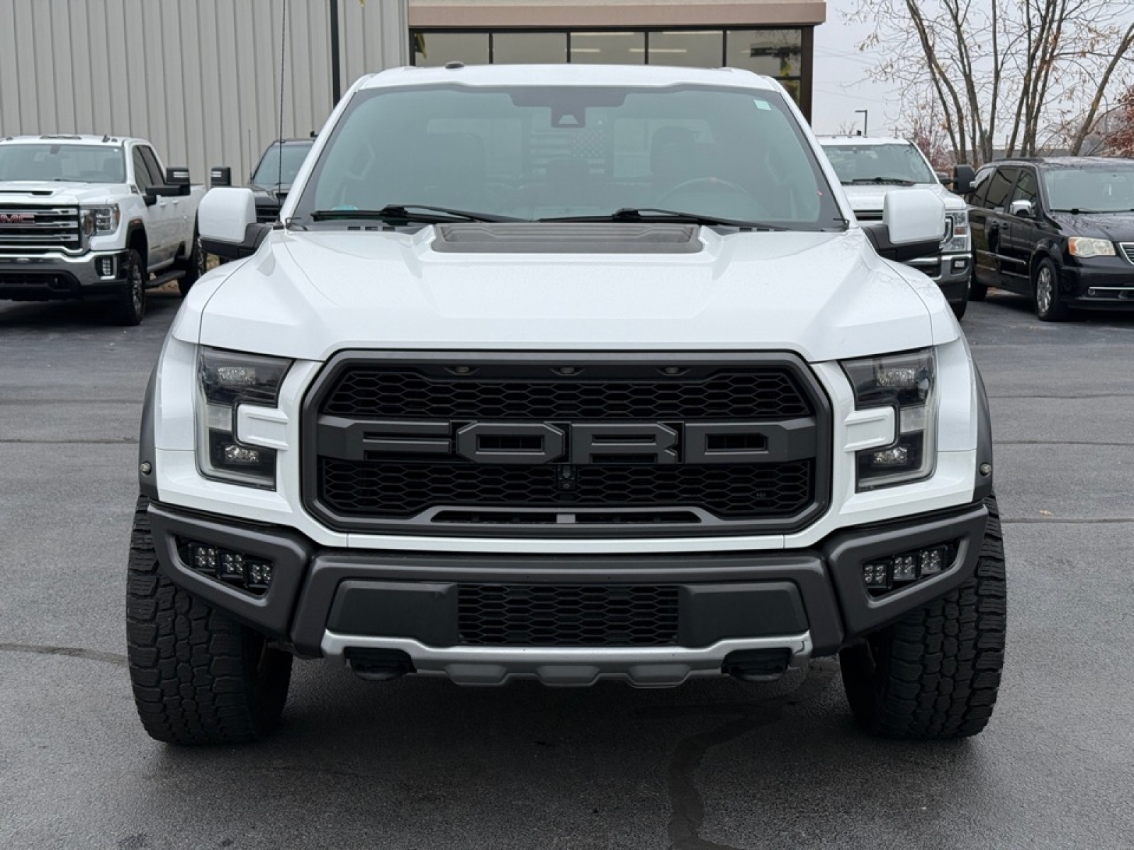 2018 Ford F-150 Raptor, 38446X, Photo