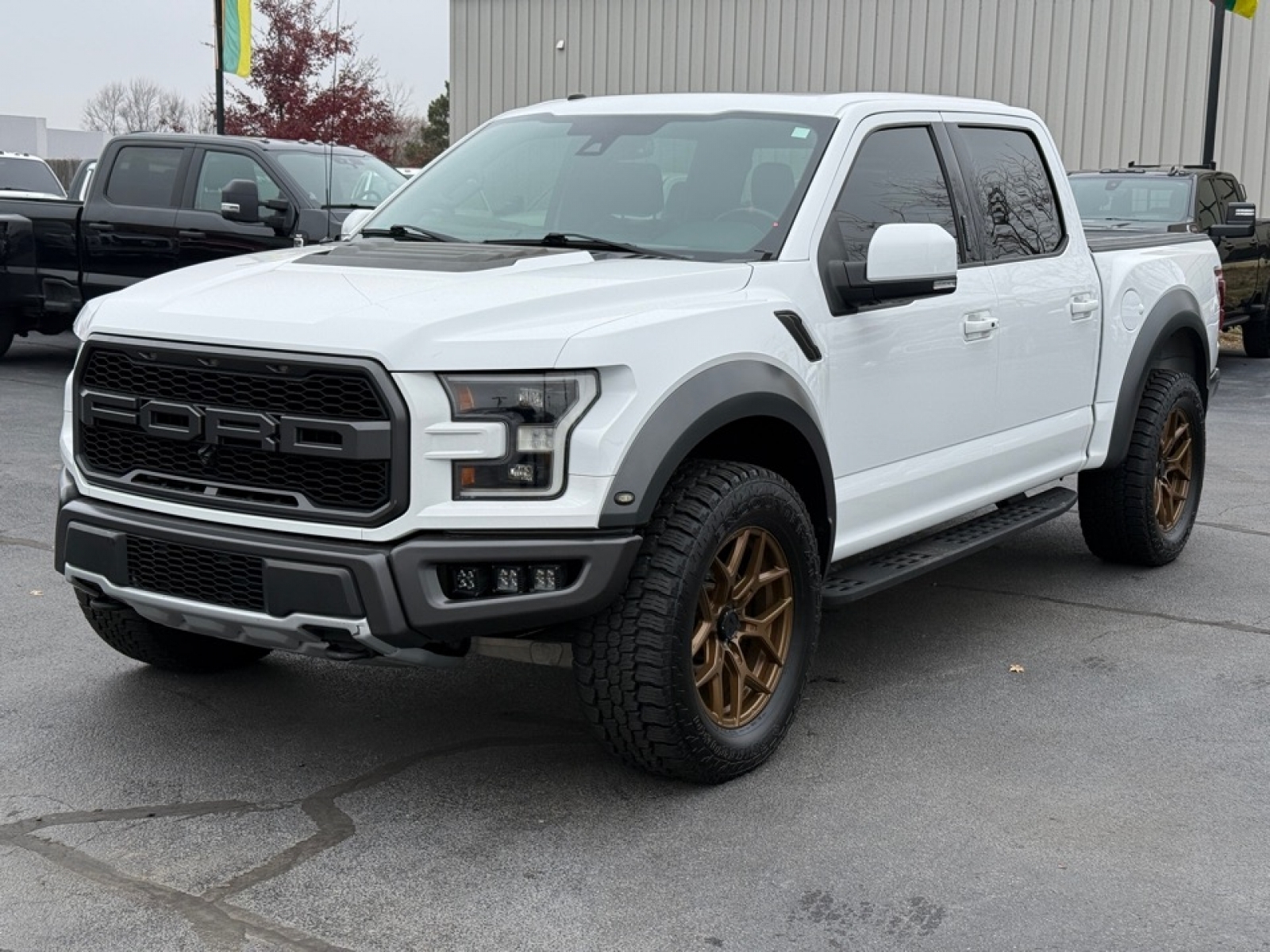 2018 Ford F-150 Raptor, 38446X, Photo
