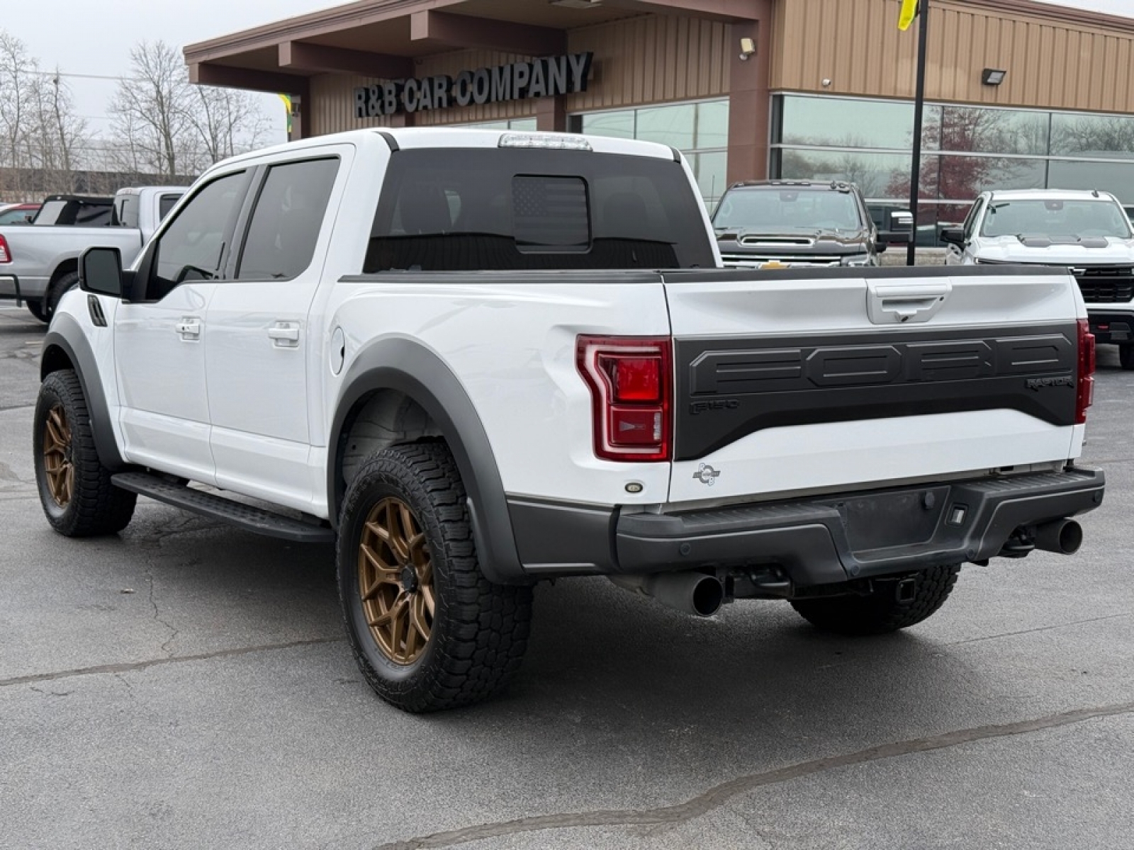 2018 Ford F-150 Raptor, 38446X, Photo