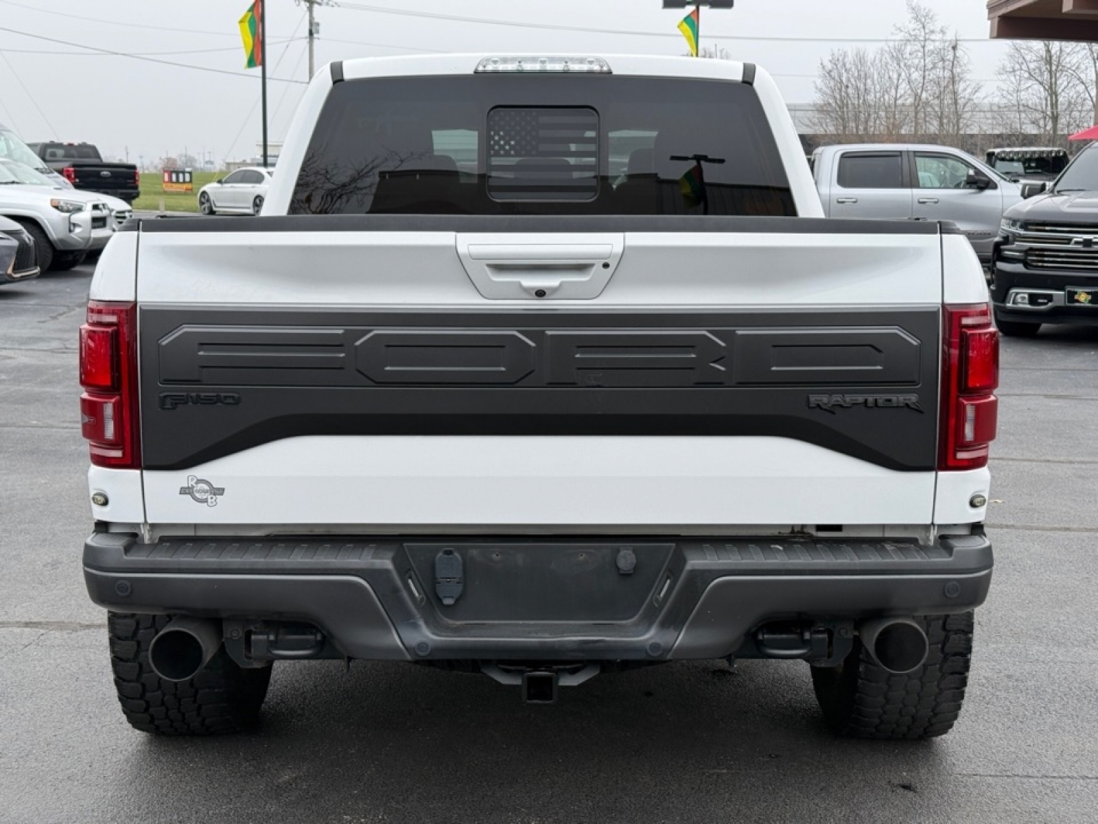2018 Ford F-150 Raptor, 38446X, Photo