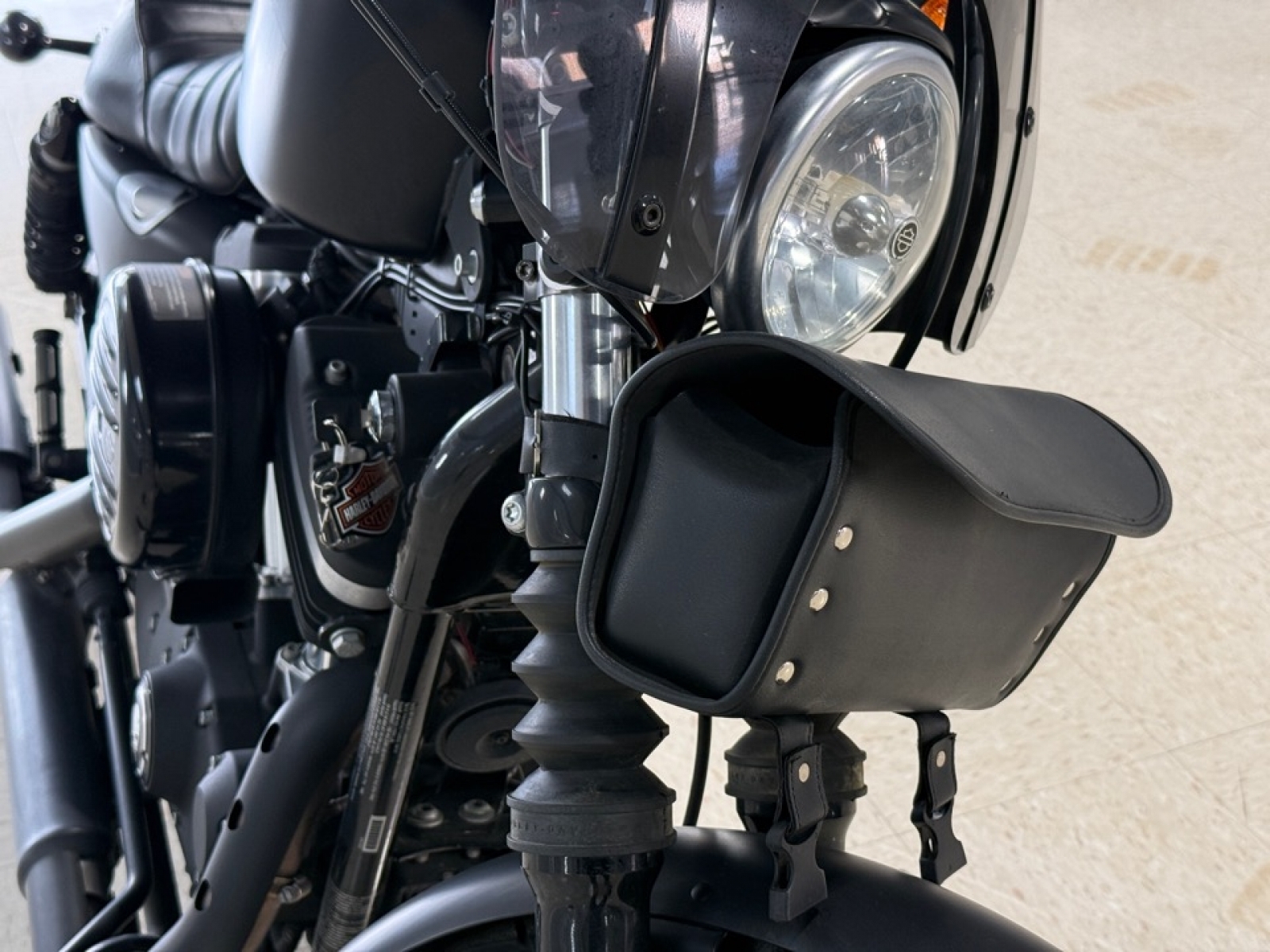 2018 Harley Davidson Iron 883, 34004Z, Photo
