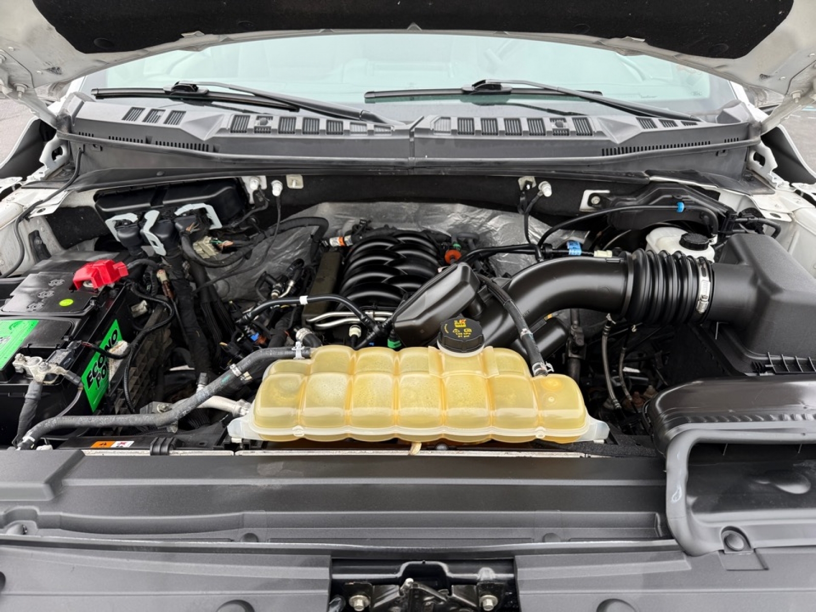 2019 Ford F-150 XLT, 39108, Photo