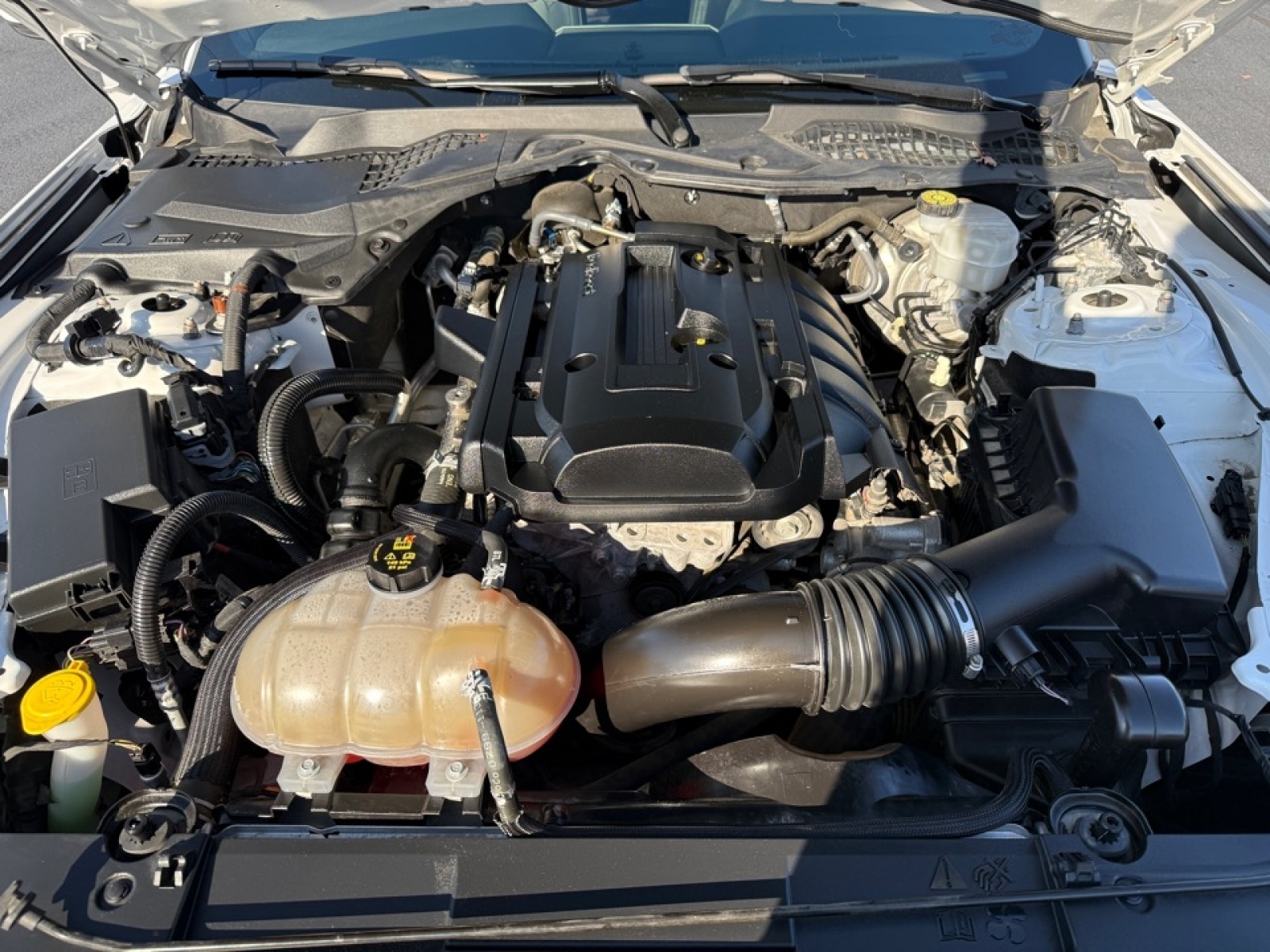 2019 Ford Mustang EcoBoost Premium, 39115, Photo