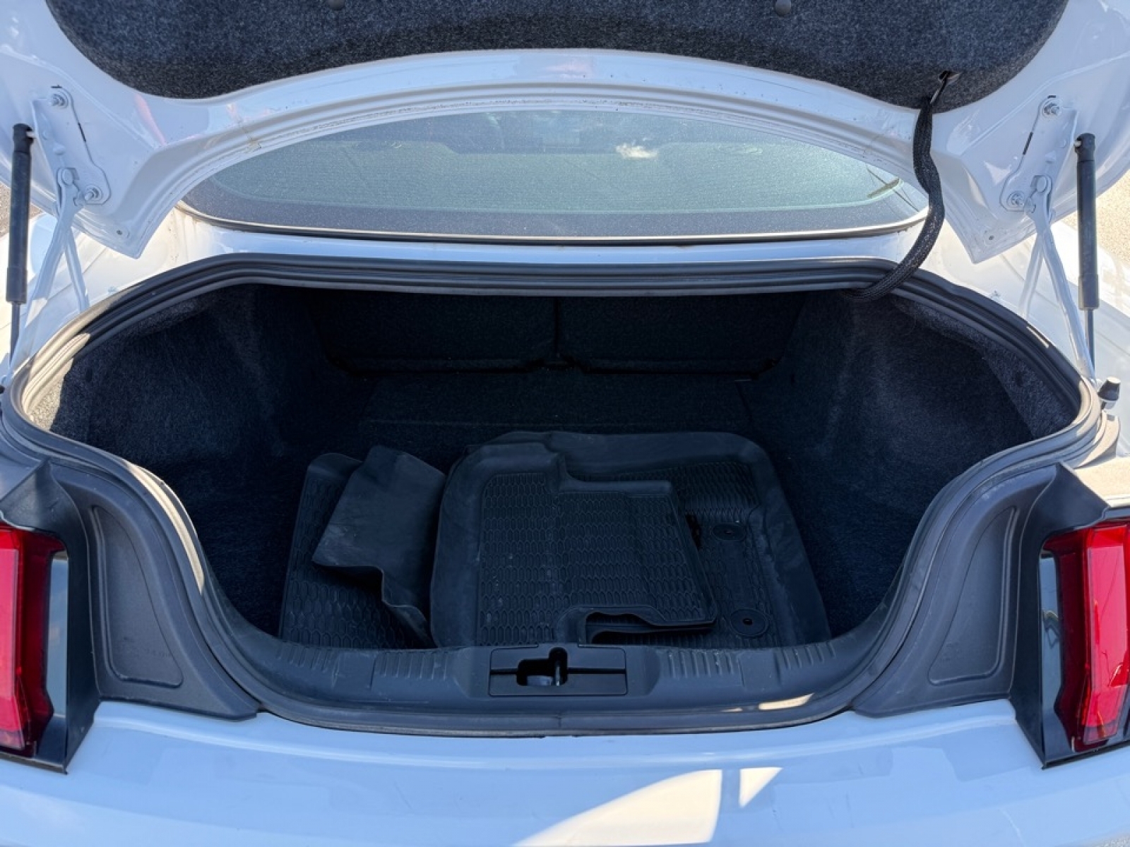 2019 Ford Mustang EcoBoost Premium, 39115, Photo