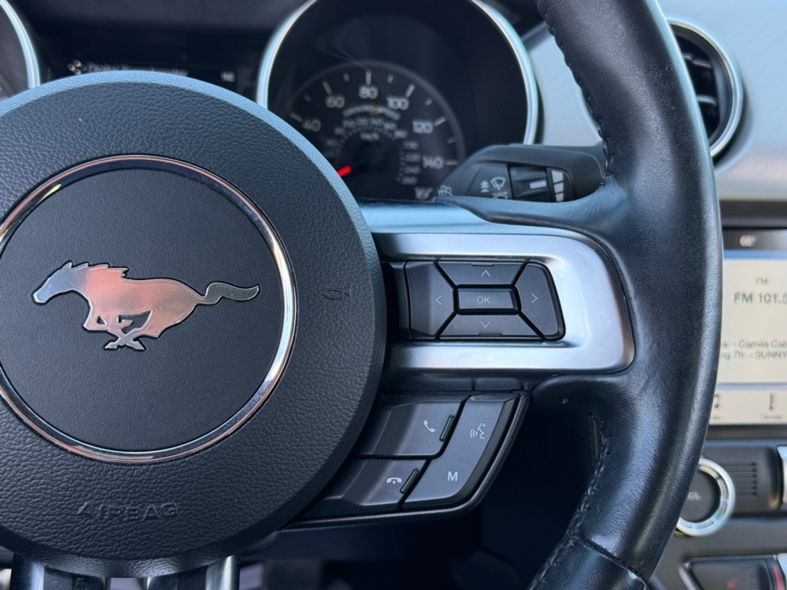 2019 Ford Mustang EcoBoost Premium, 39115, Photo
