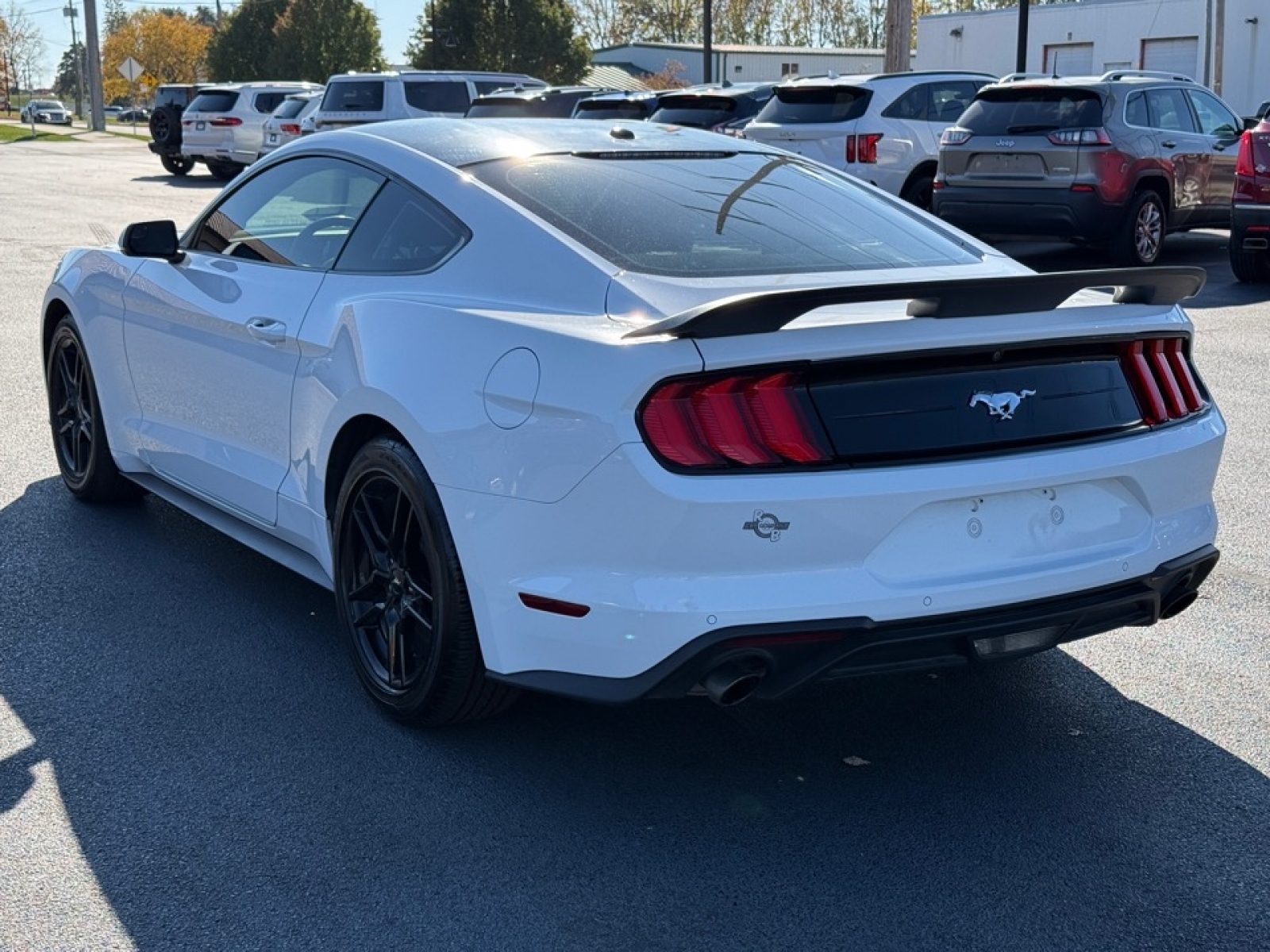 2019 Ford Mustang EcoBoost Premium, 39115, Photo