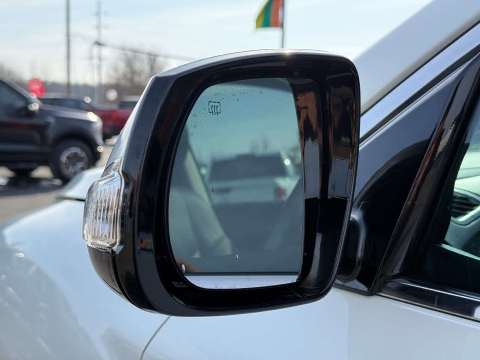 2019 INFINITI QX60 PURE, 39276, Photo