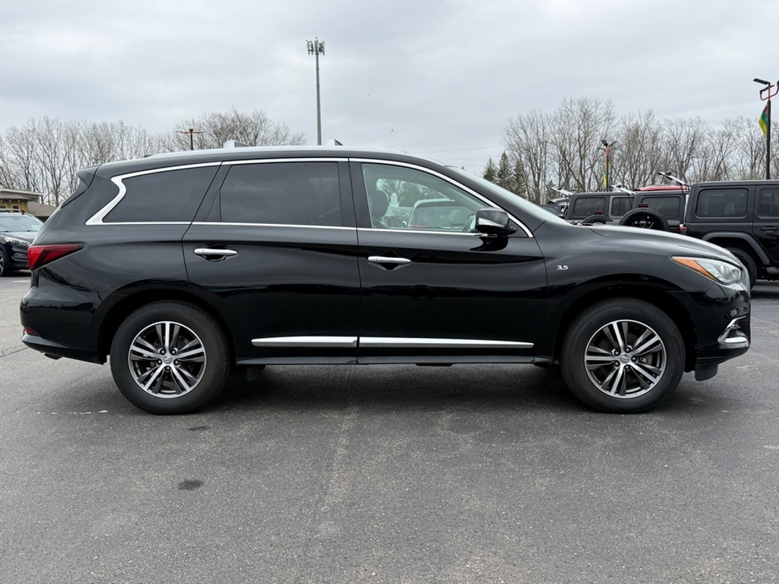 2019 INFINITI QX60 LUXE, 39701, Photo