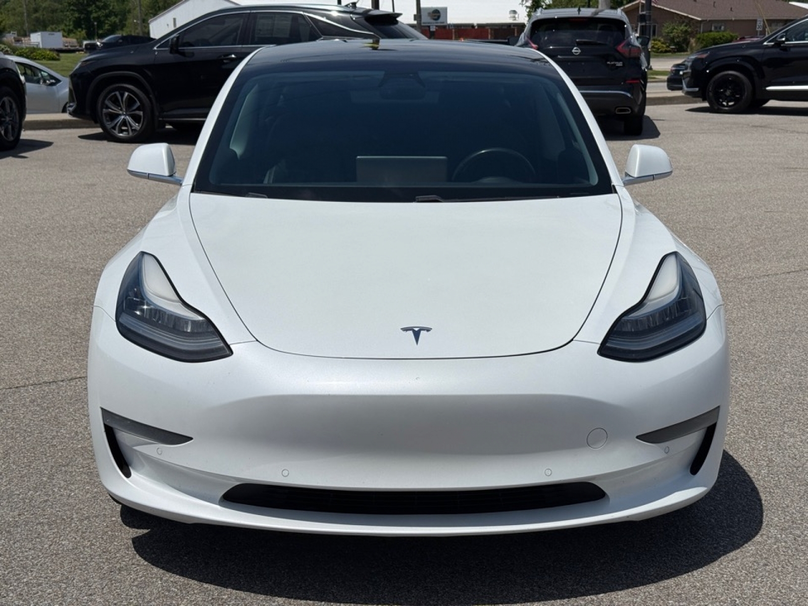2019 Tesla Model 3 Long Range, 38426, Photo