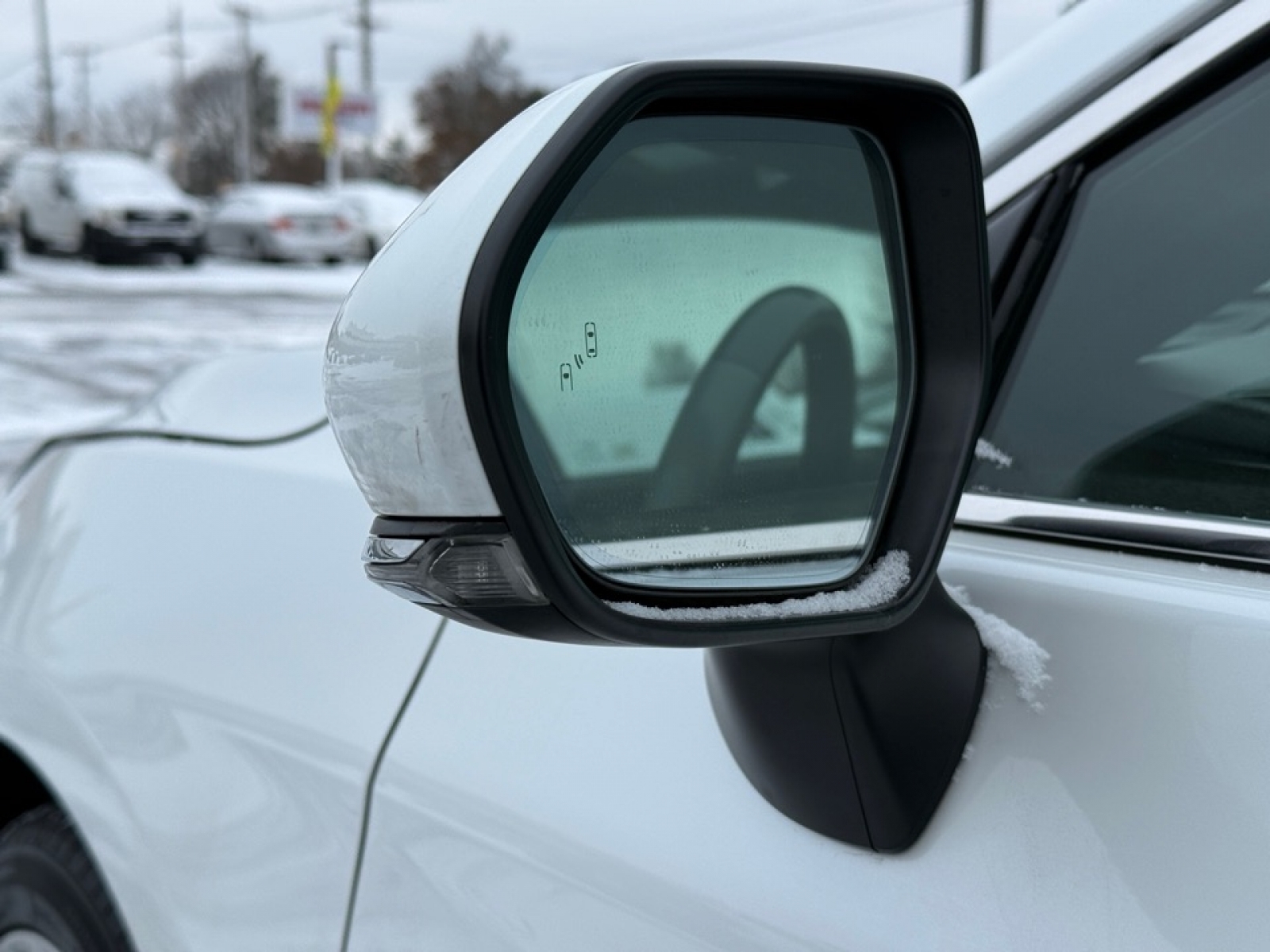 2019 Toyota Avalon Limited, 39318, Photo